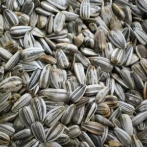 Slunečnice žíhaná 1kg