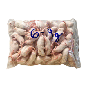 Mražená myš-medvídek 6-9g /50ks