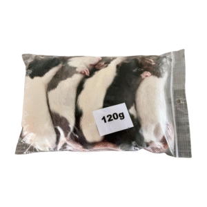 Mražený potkan 120g/ balení 5ks