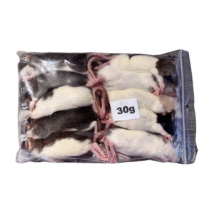 Mražený potkan 30g/ balení 10ks