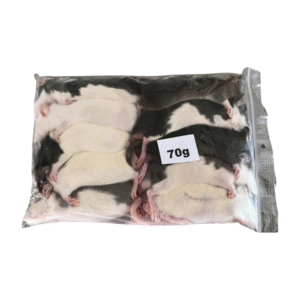 Mražený potkan 70g/ balení 10ks